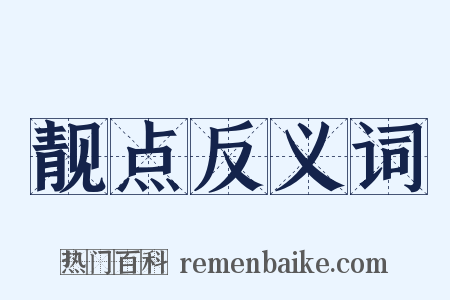 靓点反义词是什么意思的图片